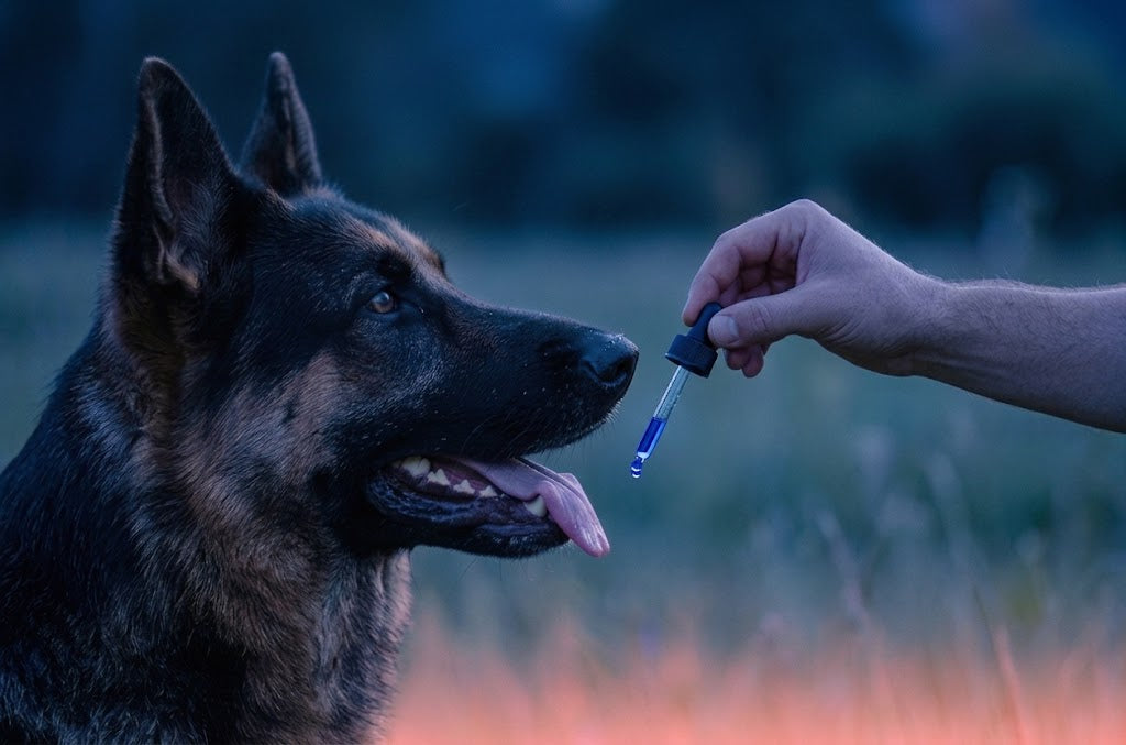 Dosing Directly